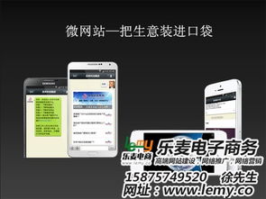 微信網(wǎng)站開發(fā)制作 樂麥專注網(wǎng)站設(shè)計(jì) 在線咨詢 微信網(wǎng)站