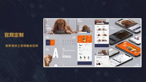 深圳網站建設 深圳軟件開發 深圳app定制 企業官網建設 品牌推廣